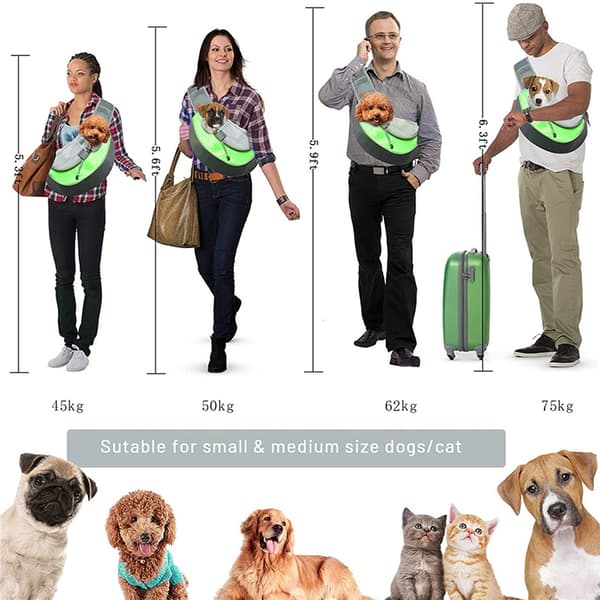 Pet Carrier Breathable Mesh Adjustable Padded Strap Outdoor Tote Shoulder Bag for Small Pets Sapphire
