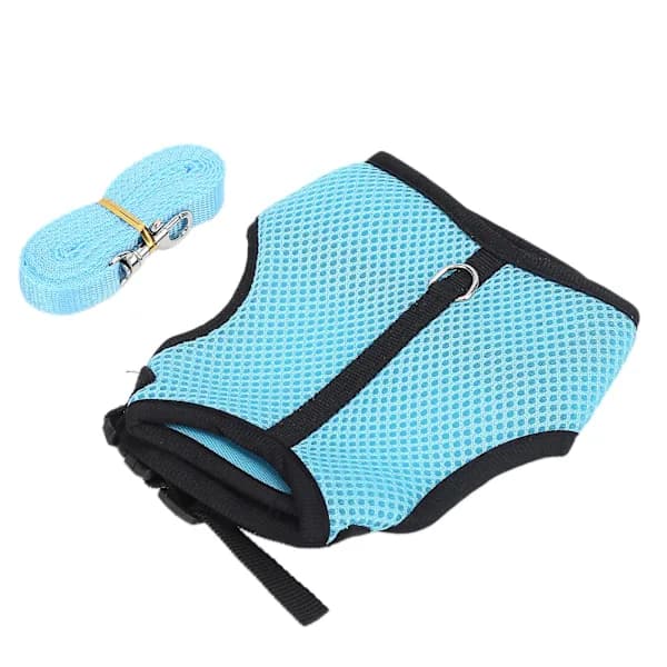 Adjustable Mini Harness and Leash Set for Rabbits and Guinea Pigs - Light Blue Mesh