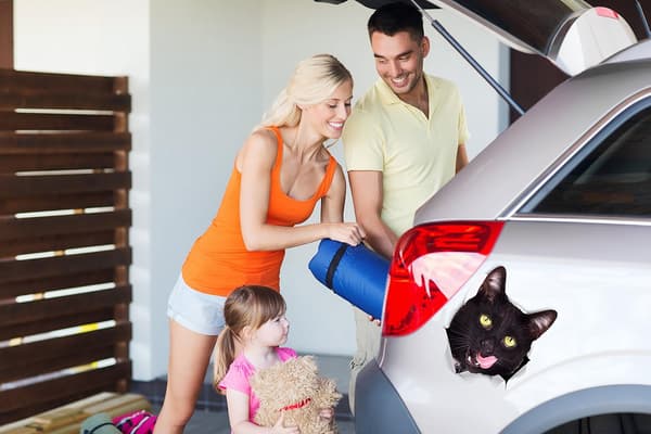 3D Cat Wall Decals 2-pack, Black Hungry Cat Stickers for Refrigerator & Car-FX-