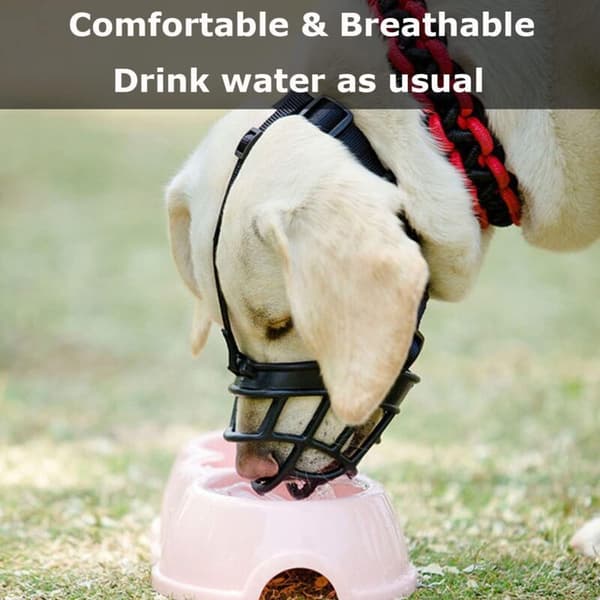 Dog Muzzle, Breathable Mesh Nylon Bite-Proof Muzzle for Small, Medium and Large Dogs (Size L)