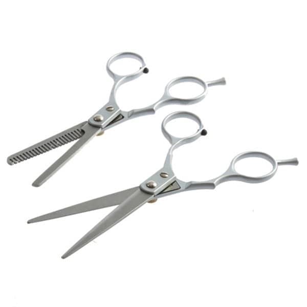 PRO Hairdressing Scissors (2 pcs) | Hairdressing Scissors & Thinning Scissors - Silver