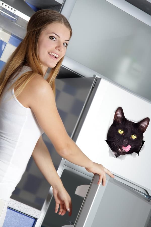 3D Cat Wall Decals 2-pack, Black Hungry Cat Stickers for Refrigerator & Car-FX-