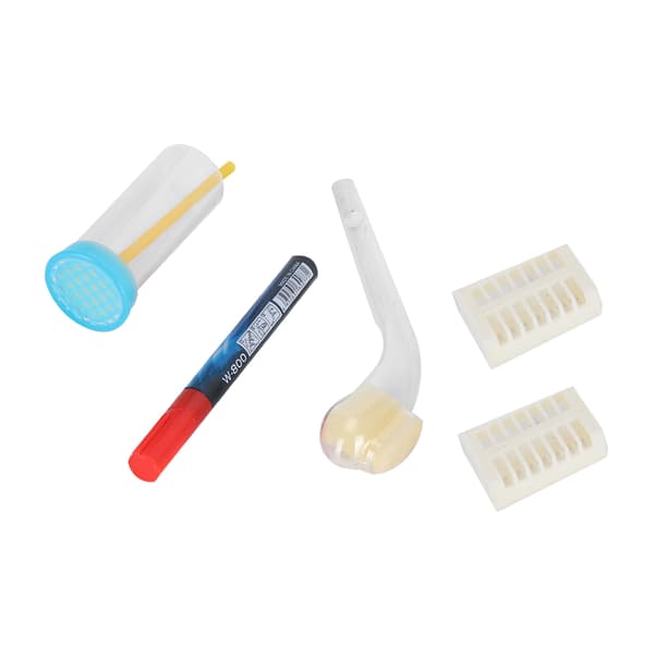 Queen Bee Marking Pen Set with Marking Bottle Catcher, Cage, Beekeeping Supplies