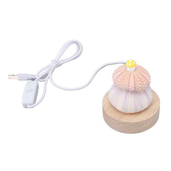LED Night Light Warm White USB Plug in Natural Shell Body Cute Mushroom Decor Bedside Lamp