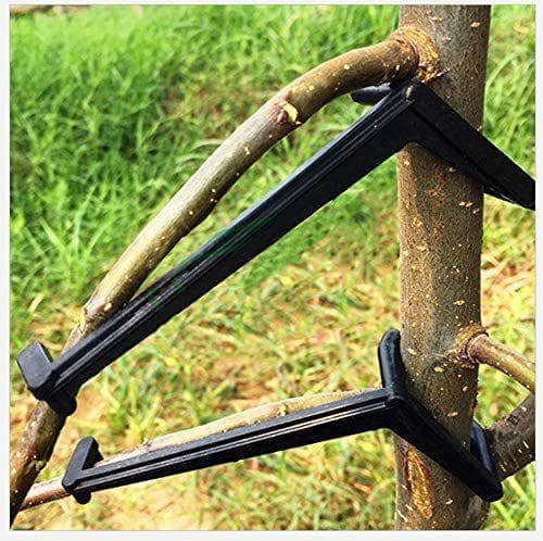 Fruit Branch Spreader - Strengthens Branches on Apple Trees and Others