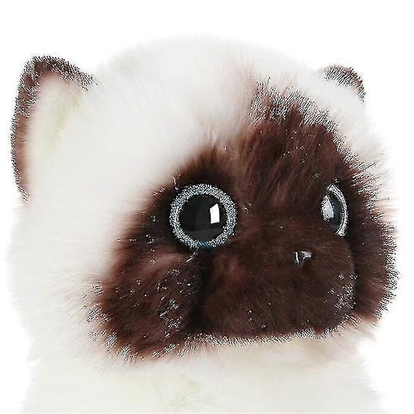 Sød Ragdoll Kat Plys Bamse Legetøj 26cm 26cm