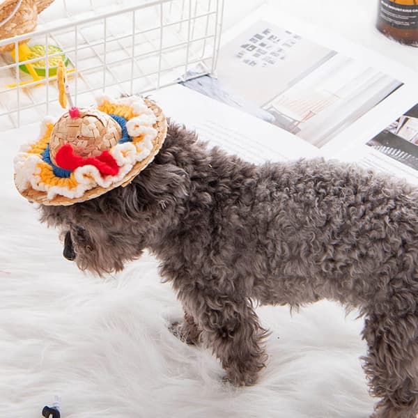 (White) Pet Straw Hat Dog Costume Hats with Knitted Drawstring Adjustable