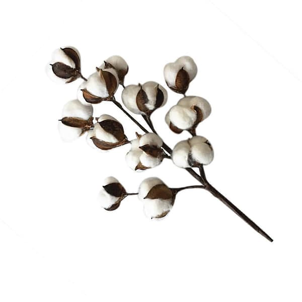1 gren med 50 cm bomullsstilker bomullsgren kunstige tørkede blomster hjem bryllupsdekor