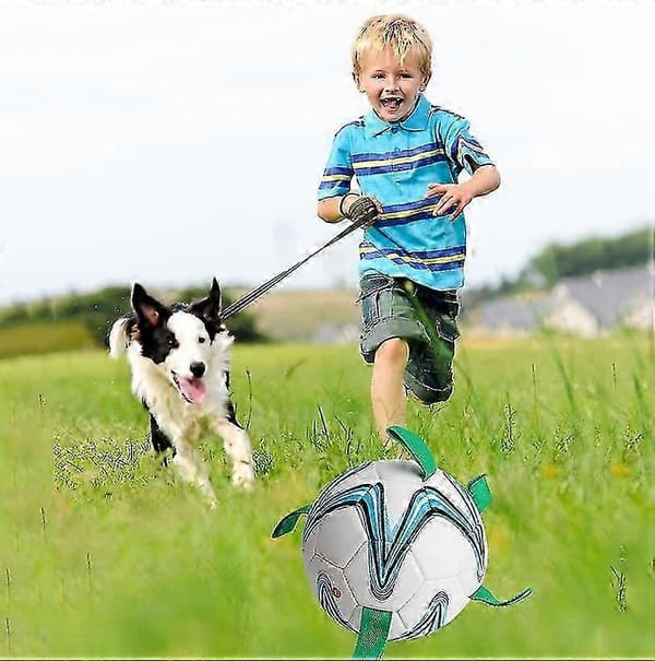 Fotball for hunder - Interaktivt hundeleketøy