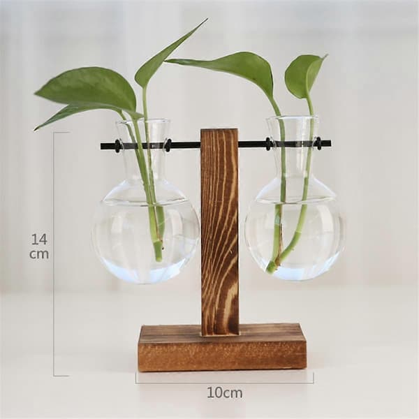 B Planteformeringstationer Skrivebordsplanteterrarium, Glasplanter med Stativ, Formeringstation til Hydroponiske Planter