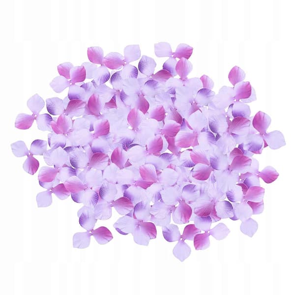 200 Bröllopskonfettiblommor För Födelsedag