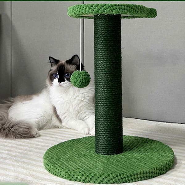 Kattboll Fakitmuer