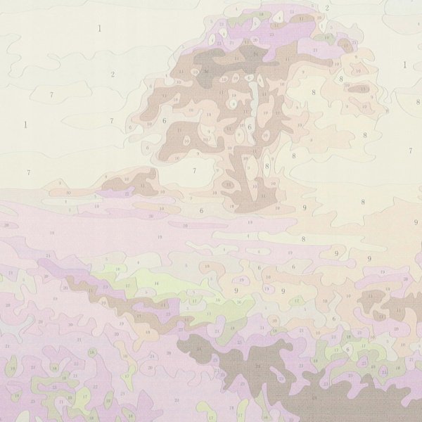 Måla efter nummer set canvas 40x50cm