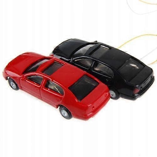 20x10 1:100 Miniatyrbilmodell Med