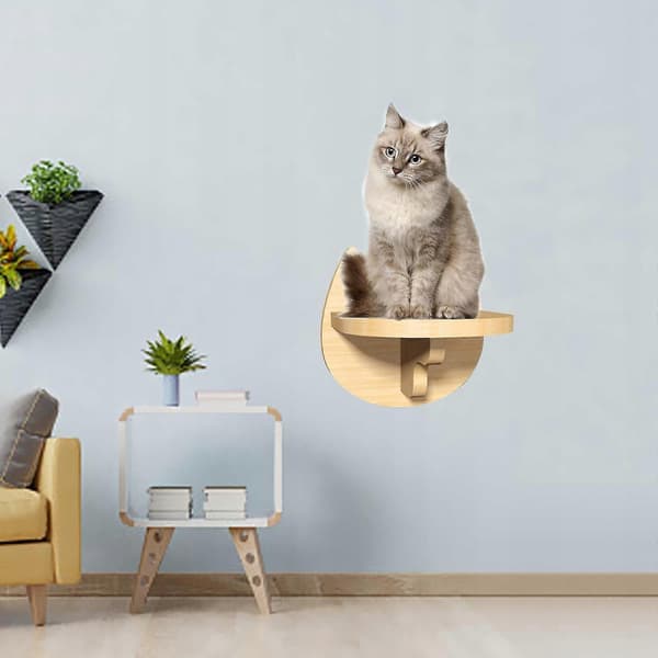 Klätterhylla för katter Kattabborre Hållbara katthyllor