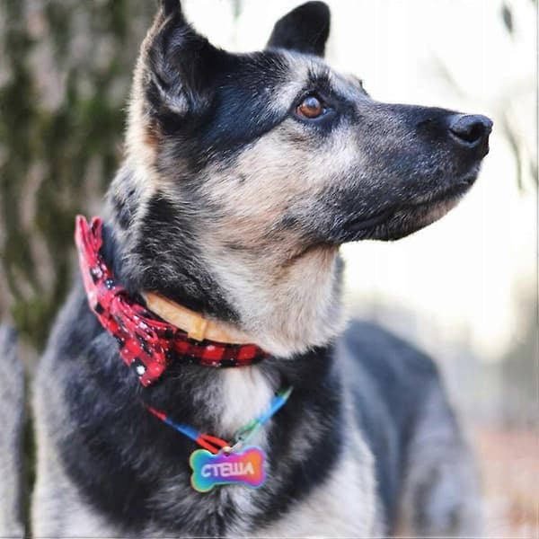 Hundhalsband R. S