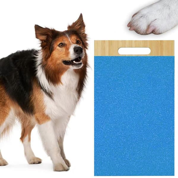 Klösbräda Hund Klösare För Kattklor
