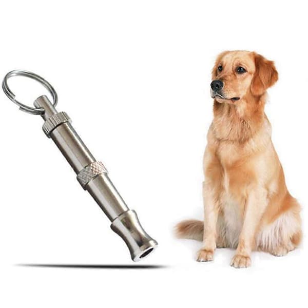 Professionella hundvisslor för utbildning och träning av hundar, silver
