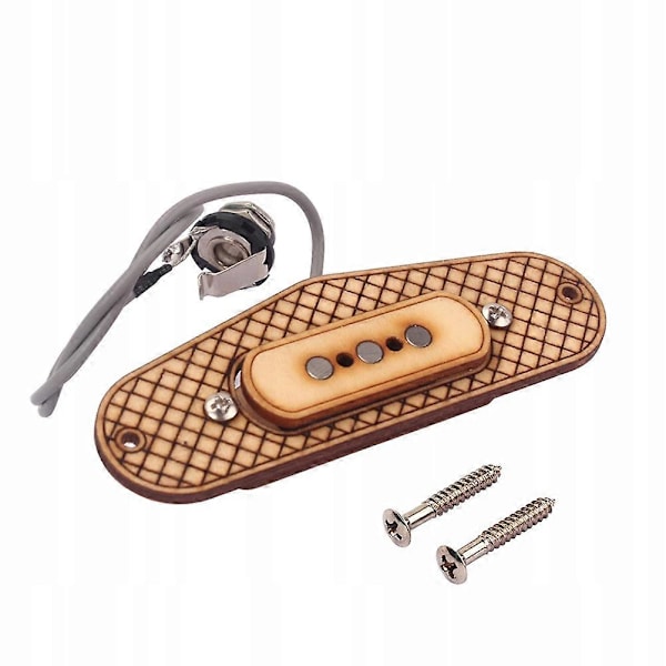 Elektrisk Gitarr Pickup