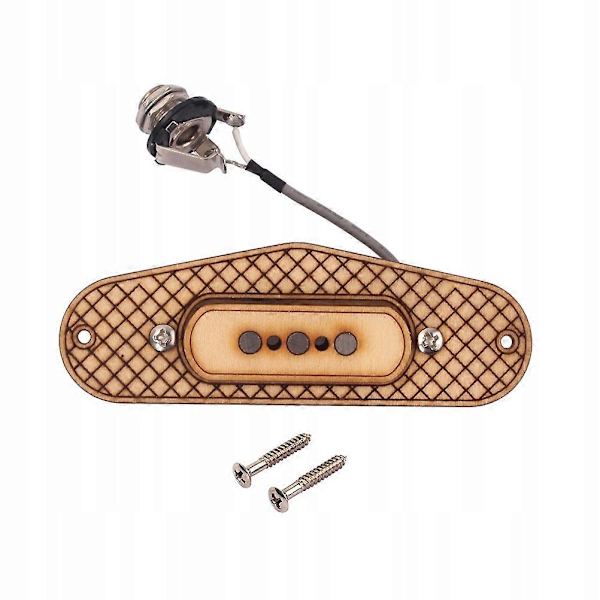 Elektrisk Gitarr Pickup