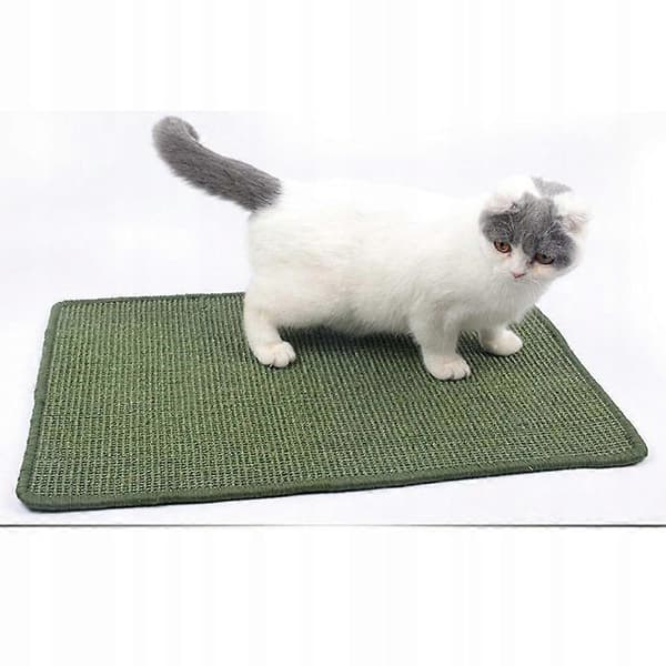 För Katt Zckehws
