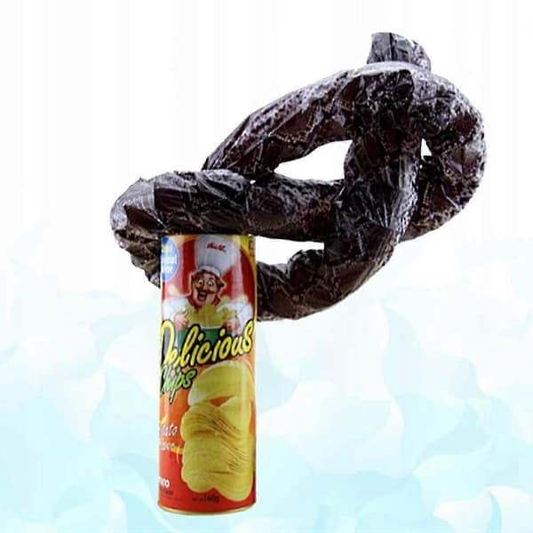 2 st Rolig Fjäder Hoppande Orm Potatischips Låda