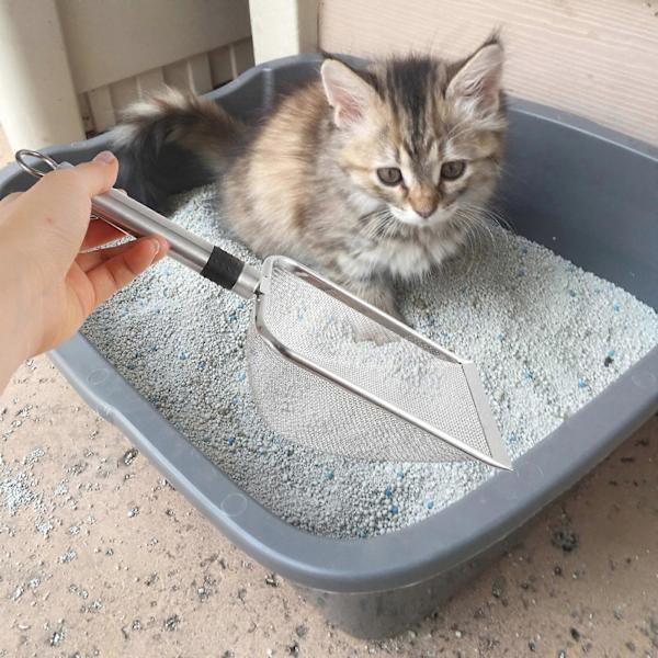 Kattsandsspade Rostfritt Stål Sandskyffel
