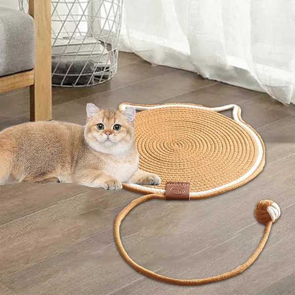 För Katt Dsvsdvcvddd