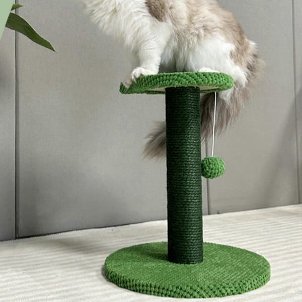 Kattboll Fakitmuer