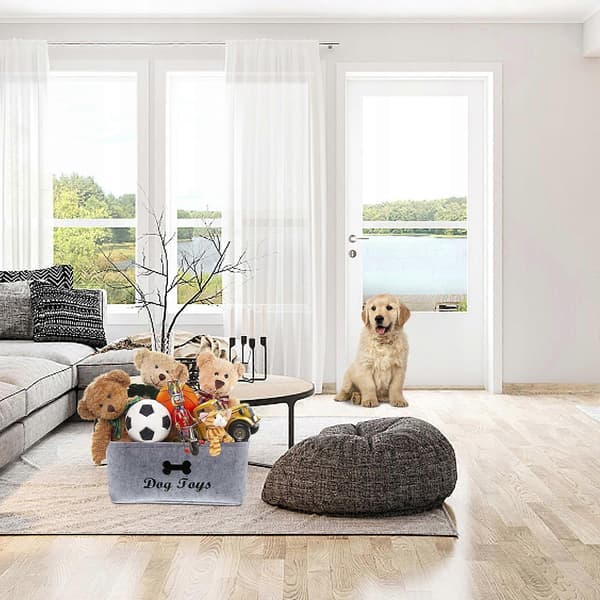 Pool för hund D