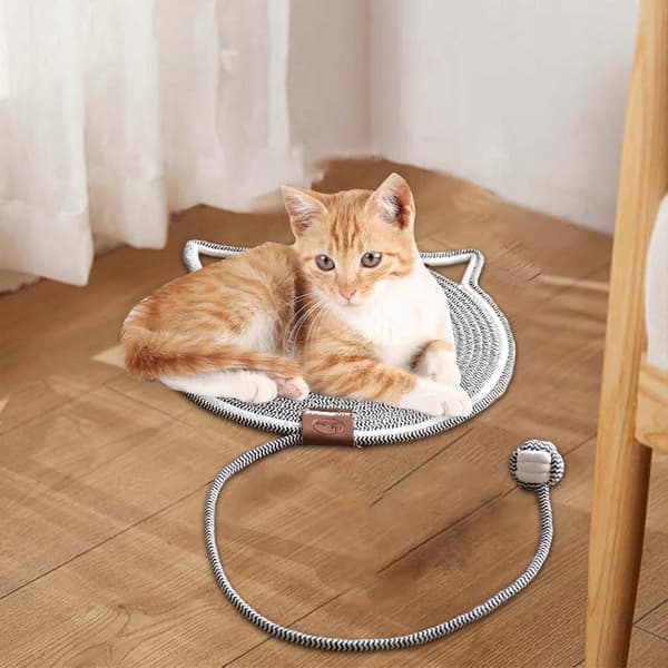 För Katt Dsvsdvcvddd