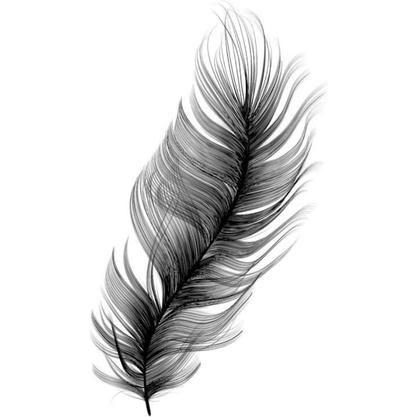 Feather Affisch 50x70 cm