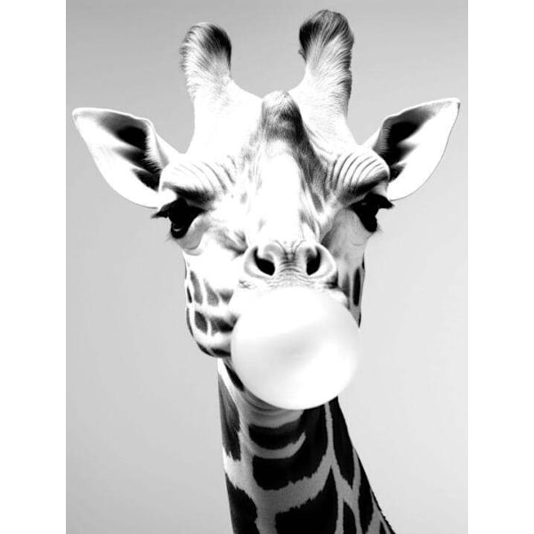 Giraff affisch 30×40 CM