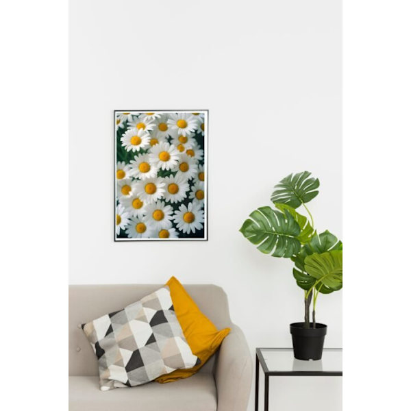Daisy Affisch  40×50 CM