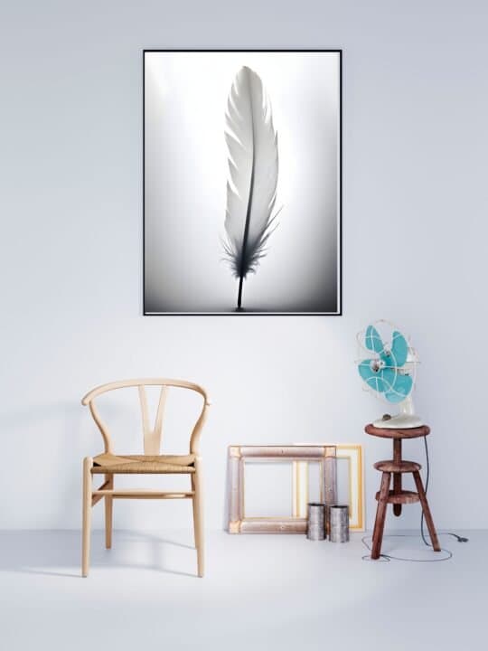Vit Fjäder Affisch 40×50 CM