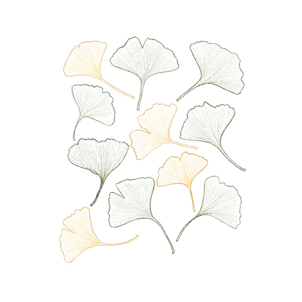 Blomma Affisch  30×40 CM