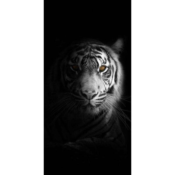 Vit Tiger Affisch  30×40 CM
