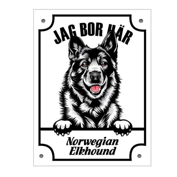 Plåtskylt Norwegian elkhundKikande hund skylt Vit