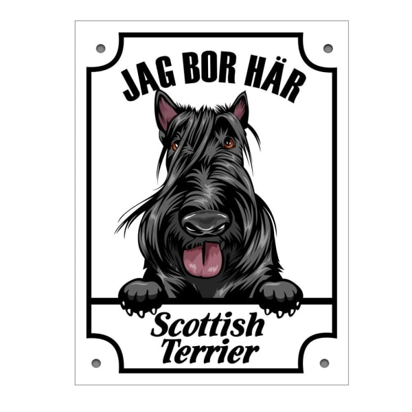 Plåtskylt Scottish Terrier Kikande hund skylt Vit