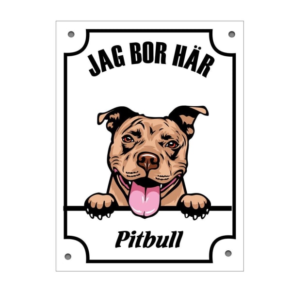 Plåtskylt Pitbull Kikande hund skylt - brun Vit