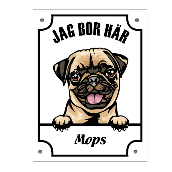 Plåtskylt Mops Kikande hund skylt Vit