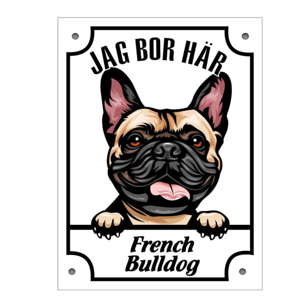 Plåtskylt French Bulldog Kikande hund skylt Vit