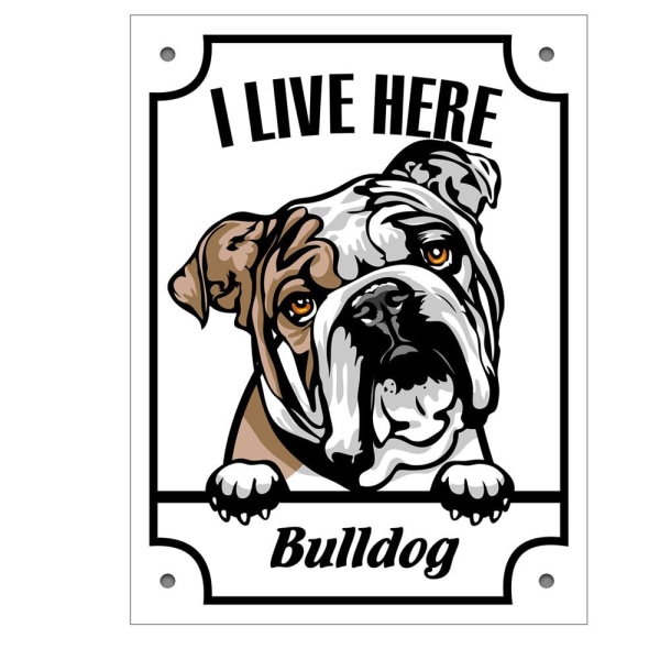 Bulldog metallinen sisustuskyltti laatta oven portti kurkistaa kuva m White