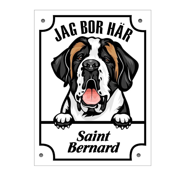 Plåtskylt Saint Bernard Kikande hund skylt Vit