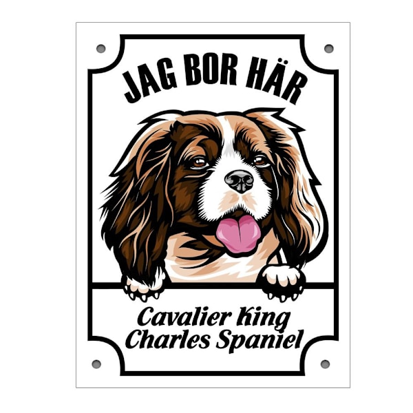 Plåtskylt Cavalier king charles spaniel Kikande hund skylt Vit