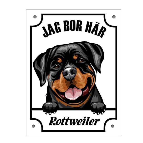 Plåtskylt Rottweiler Kikande hund skylt Vit