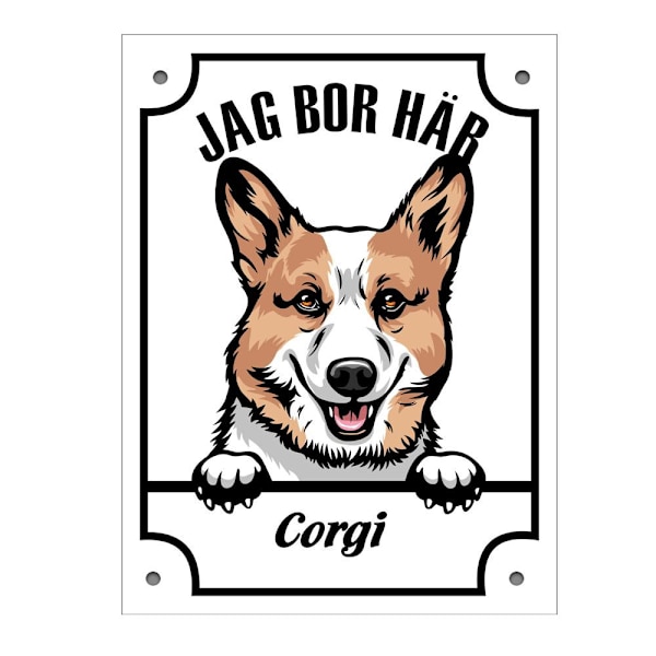 Plåtskylt Corgi Kikande hund skylt Vit