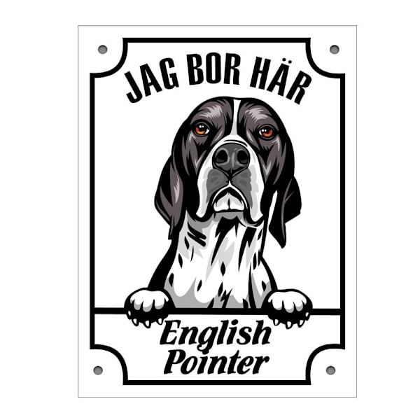 Plåtskylt English pointer Kikande hund skylt Vit