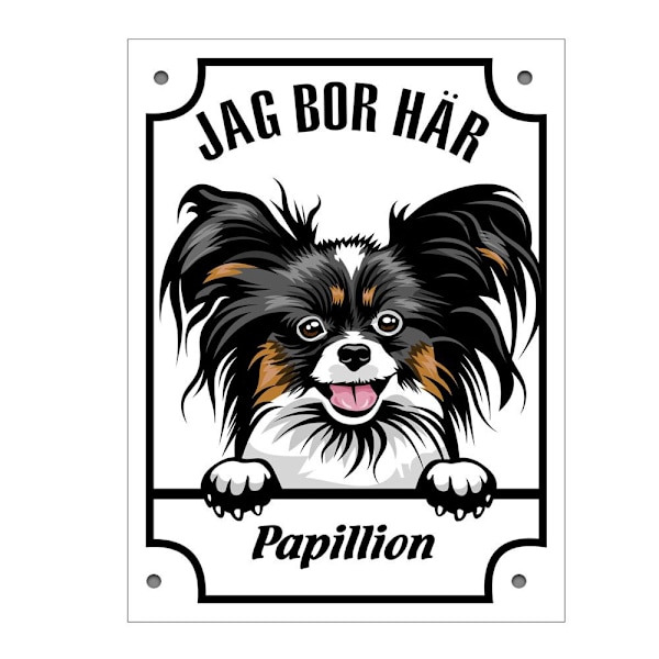 Plåtskylt Papillion  Kikande hund skylt Vit