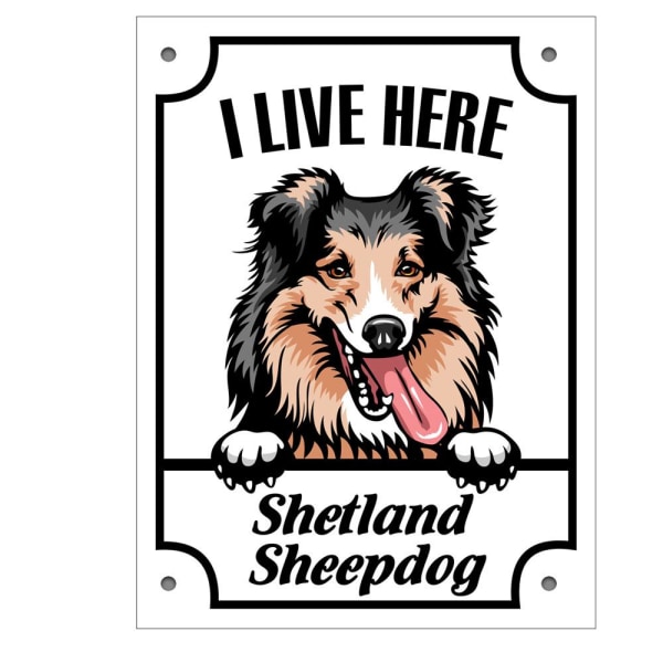 Shetland Sheepdog metal indretning skilt plakat dør gate kigger illu White
